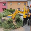 stump_cutter_laski-fz560-m3