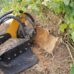 stump_cutter_laski-p56-7